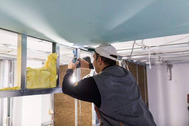 Best Insulation Contractors for Homes  in Lake Of The Pines, CA