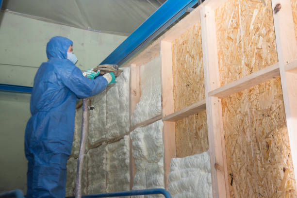 Best Energy-efficient Insulation  in Lake Of The Pines, CA